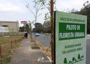 centro-de-itatiba-recebe-projeto-piloto-de-floresta-urbana-correio-nogueirense