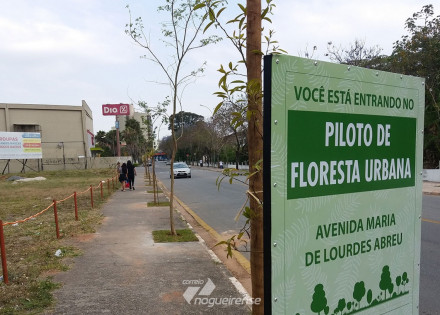 centro-de-itatiba-recebe-projeto-piloto-de-floresta-urbana-correio-nogueirense