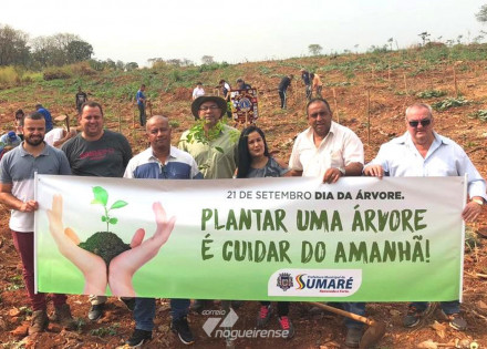 dia-da-arvore-e-comemorado-com-plantio-de-mudas-em-sumare-correio-nogueirense