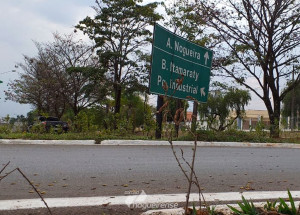 executivo-responde-vereador-sobre-as-plantas-colocadas-na-entrada-da-cidade-correio-nogueirense