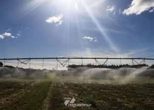 novas-tecnologias-digitais-auxiliam-producao-no-campo-correio-nogueirense