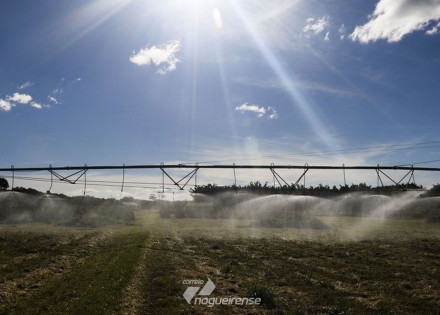 novas-tecnologias-digitais-auxiliam-producao-no-campo-correio-nogueirense