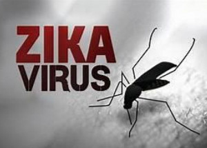 pesquisa-virus-zika-traz-prejuizos-motores-e-de-memoria-a-adultos-correio-nogueirense