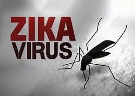 pesquisa-virus-zika-traz-prejuizos-motores-e-de-memoria-a-adultos-correio-nogueirense