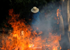 portugal-prorroga-periodo-critico-de-incendios-em-florestas-correio-nogueirense
