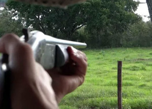 projeto-que-amplia-posse-de-arma-no-campo-e-sancionado-correio-nogueirense