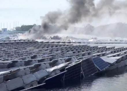 tufao-faxai-causa-grandes-prejuizos-a-agricultura-do-japao-correio-nogueirense