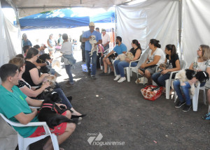 americana-avanca-com-mutirao-de-castracao-animal-correio-nogueirense