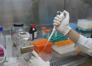 concorrencia-pode-reduzir-custo-de-medicamentos-biologicos-correio-nogueirense