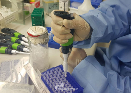 exame-para-identificar-zika-virus-e-comercializado-no-pais-correio-nogueirense