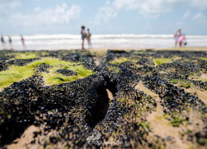 governo-libera-r-130-milhoes-para-seguro-defeso-a-pescadores-do-ne-correio-nogueirense