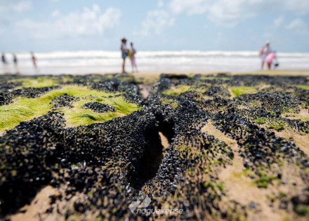 governo-libera-r-130-milhoes-para-seguro-defeso-a-pescadores-do-ne-correio-nogueirense