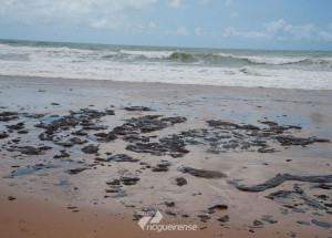 ministro-da-defesa-diz-que-origem-de-oleo-vazado-esta-sendo-apurada-correio-nogueirense
