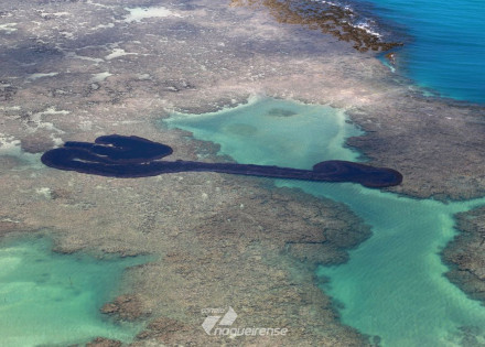 oleo-que-vazou-foi-extraido-de-tres-campos-na-venezuela-diz-petrobras-correio-nogueirense