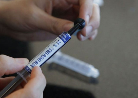 pedido-de-remedio-a-base-de-canabidiol-pode-ser-feito-pela-internet-correio-nogueirense