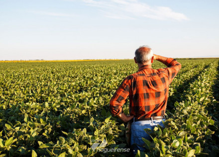produtores-rurais-poderao-refinanciar-dividas-com-juros-de-8-ao-ano-correio-nogueirense
