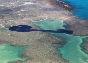 2019-10-22t195757z_1543197049_rc1cde37bb80_rtrmadp_3_brazil-environment-oil