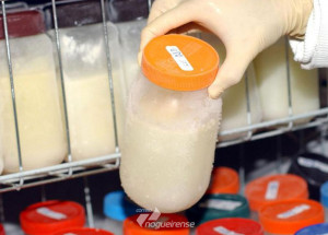 brasil-exporta-projeto-de-bancos-de-leite-para-parceiros-do-brics-correio-nogueirense