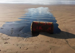 oleo-ja-atingiu-pelo-menos-675-areas-de-116-cidades-informa-ibama-correio-nogueirense