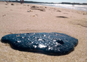 oleo-na-praia-de-cabo-frio-nao-e-compativel-com-substancia-do-nordeste-correio-nogueirense