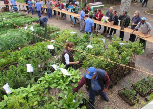 viveiro-municipal-de-mudas-de-itatiba-tem-novo-horario-de-atendimento-ao-publico-correio-nogueirense