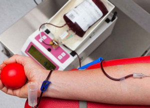 doacao-de-sangue-quem-pode-quais-os-cuidados-e-quem-nao-pode-doar-correio-nogueirense