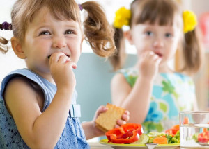 guia-alimentar-brasileiro-podera-ser-adaptado-para-outros-paises-correio-nogueirense