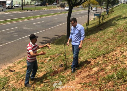 prefeito-luiz-dalben-acompanha-plantio-de-primaveras-correio-nogueirense