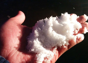 russia-vive-os-dias-mais-quentes-em-120-anos-correio-nogueirense