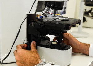 brasileira-desenvolve-novo-tratamento-para-cancer-de-ovario-correio-nogueirense