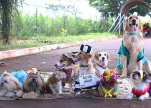 indaiatuba-tera-1o-carnapet-dentro-da-programacao-do-carnaval-correio-nogueirense