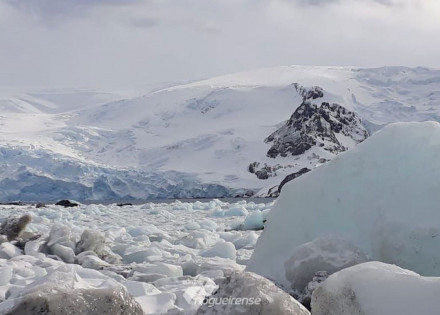 peninsula-antartica-pode-sofrer-invasao-de-especies-alerta-pesquisa-correio-nogueirense