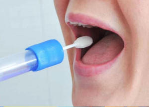 saliva-permite-medir-a-porcentagem-de-gordura-corporal-correio-nogueirense