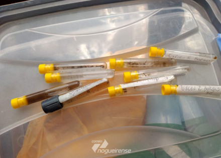 secretaria-de-saude-de-pedreira-realiza-campanha-de-combate-a-dengue-correio-nogueirense