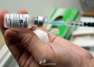 sorocaba-investiga-duas-suspeitas-de-febre-amarela-correio-nogueirense