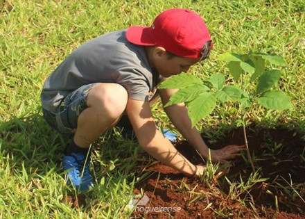 camara-aprova-projeto-que-conscientiza-criancas-das-escolas-municipais-de-10-e-11-anos-a-plantarem-arvores-correio-nogueirense