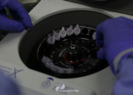 coronavirus-cientistas-britanicos-comecam-a-testar-vacina-em-ratos-correio-nogueirense