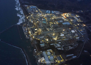 especialistas-americanos-estudam-ecossistema-pos-tsunami-no-japao-correio-nogueirense