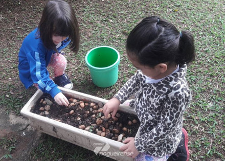 projeto-da-emei-neusa-caron-em-paulinia-e-selecionado-pela-unesco-correio-nogueirense