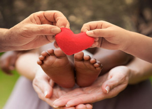 saiba-como-e-o-processo-de-adocao-no-brasil-correio-nogueirense