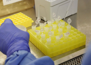 secretaria-de-saude-de-indaiatuba-esclarece-duvidas-em-relacao-ao-coronavirus-correio-nogueirense