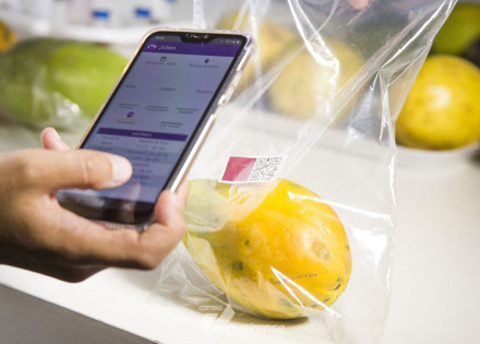 embrapa-desenvolve-sensor-que-avalia-grau-de-maturacao-de-frutas-correio-nogueirense