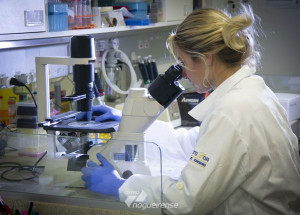 pesquisadores-mostram-relacao-de-agua-contaminada-com-zika-virus-correio-nogueirense