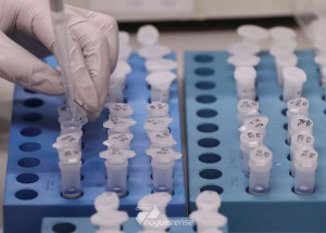 publicada-portaria-que-regulamenta-medidas-para-enfrentar-o-covid-19-correio-nogueirense