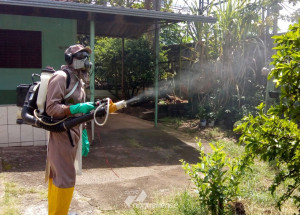 secretaria-de-saude-realiza-acoes-de-combate-a-dengue-em-sumare-correio-nogueirense
