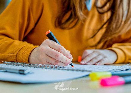 departamento-de-educacao-de-holambra-prepara-apostilas-com-atividades-para-estudantes-da-rede-municipal-correio-nogueirense