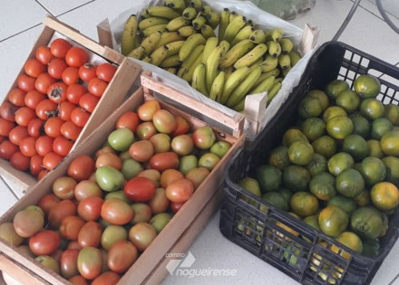 fundo-social-de-solidariedade-de-sumare-encaminha-doacao-de-alimentos-pereciveis-para-instituicoes-da-cidade-correio-nogueirense