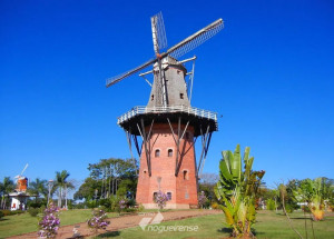 holambra-registra-caso-suspeito-para-novo-coronavirus-correio-nogueirense