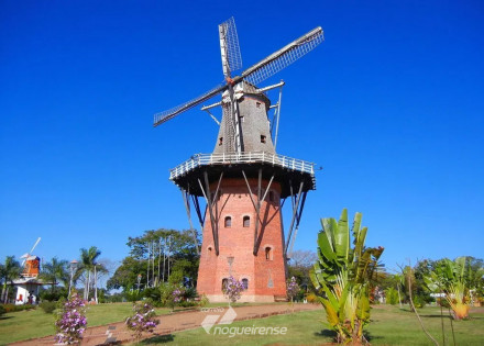 holambra-registra-caso-suspeito-para-novo-coronavirus-correio-nogueirense