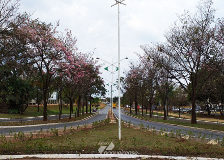 beto-baiano-solicita-a-prefeitura-que-seja-instalada-barreiras-sanitarias-em-artur-nogueira-correio-nogueirense